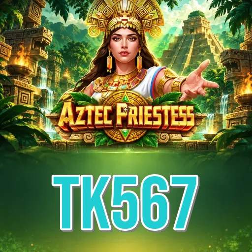 Developer Info tk567